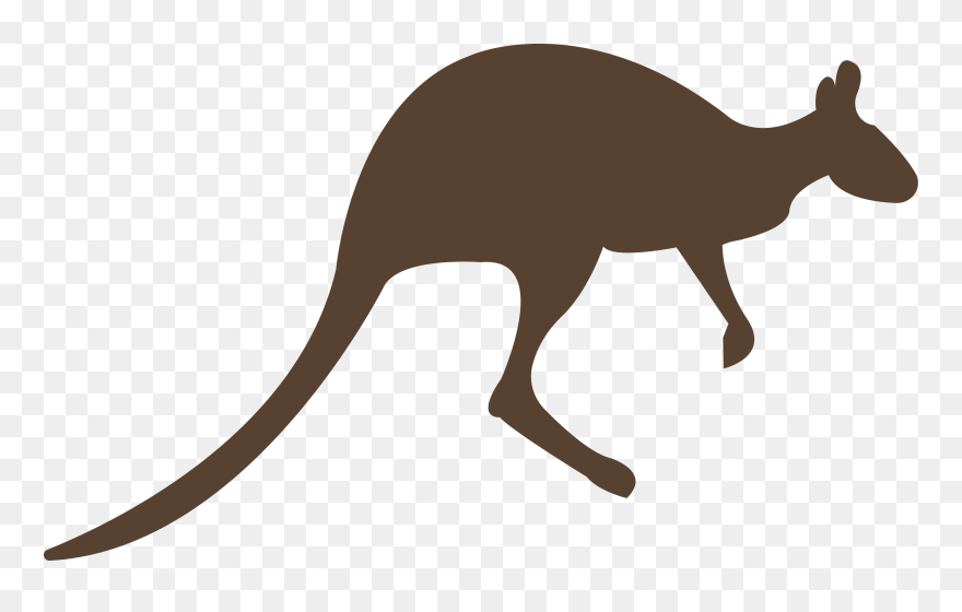 Head Clipart Kangaroo - Kangaroo Brown Png Transparent Png