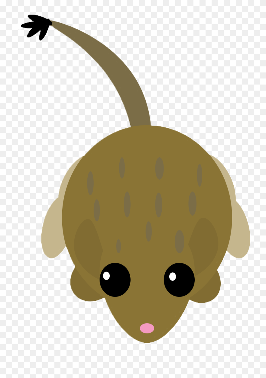 Ear Clipart Kangaroo - Illustration - Png Download