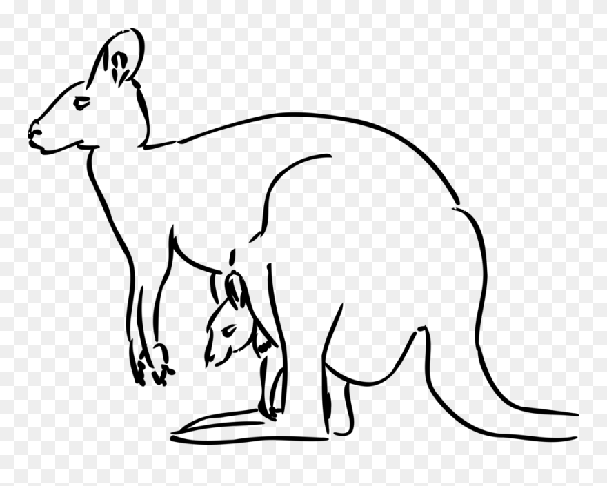Kangaroo Drawing Vector Image - Kangaroo Clipart Black And White - Png Download