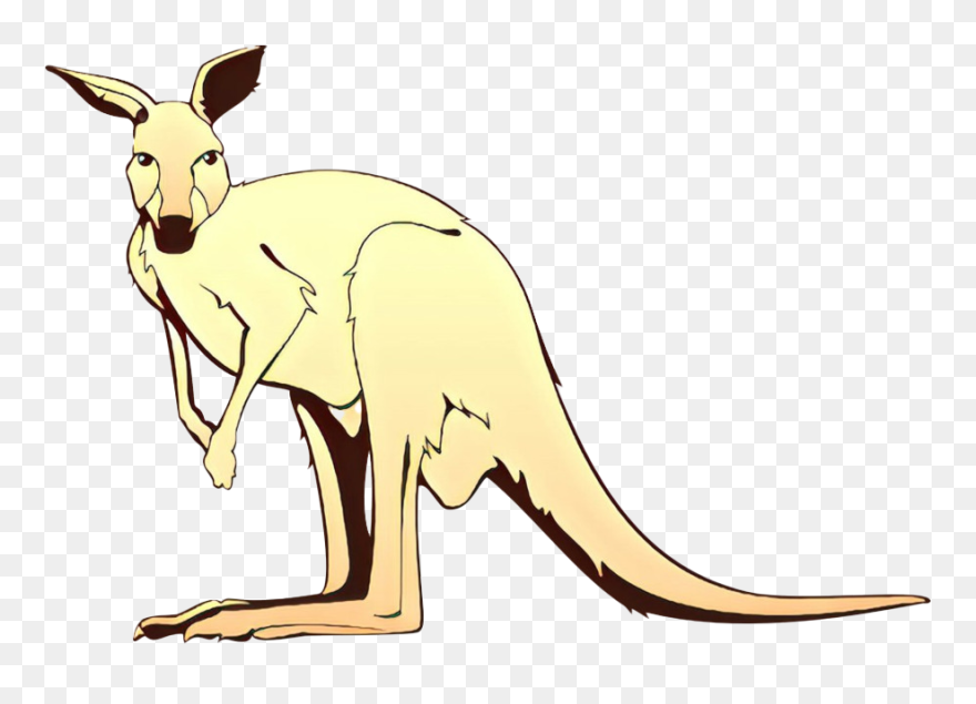 Kangaroo Wallaby Transparent Images Png - Kangaroo Clipart