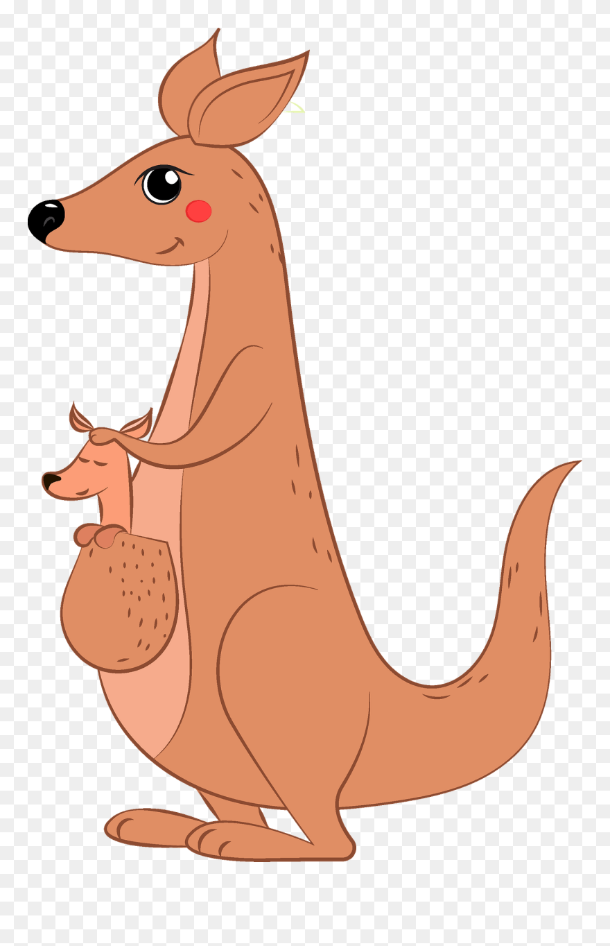 Kangaroo Clipart