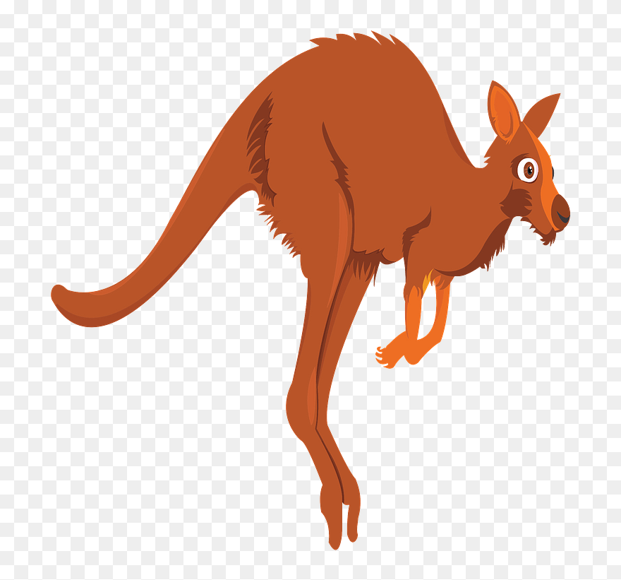 Cartoon Kangaroo Clipart - Big Kangaroo Clip Art - Png Download