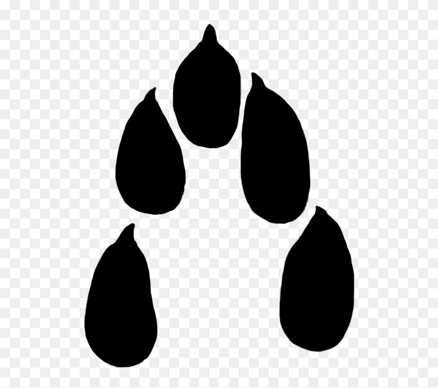 Paw Prints Clipart Clipart Transparent Library - Png Download