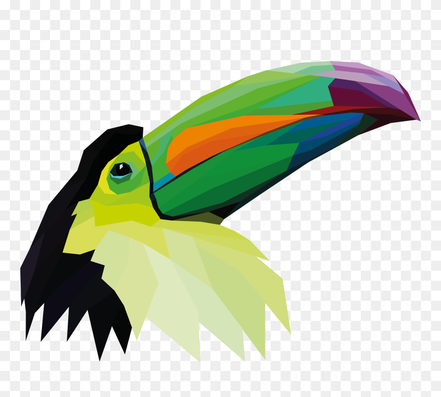 Transparent Zoo Clipart Png - Toucan