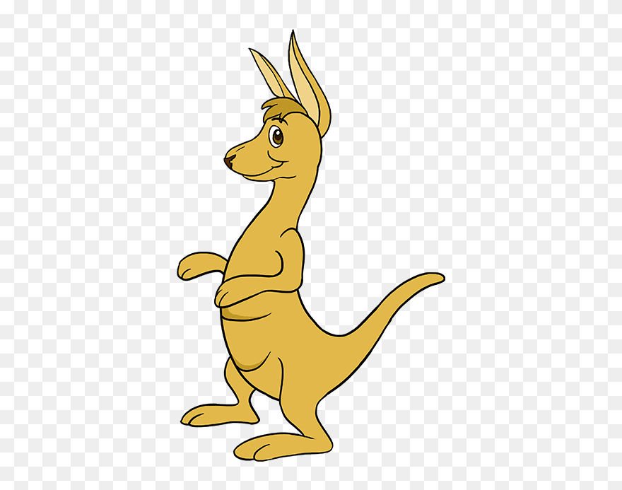 How To Draw Cartoon Kangaroo - Cartoon Kangaroo Drawings Clipart