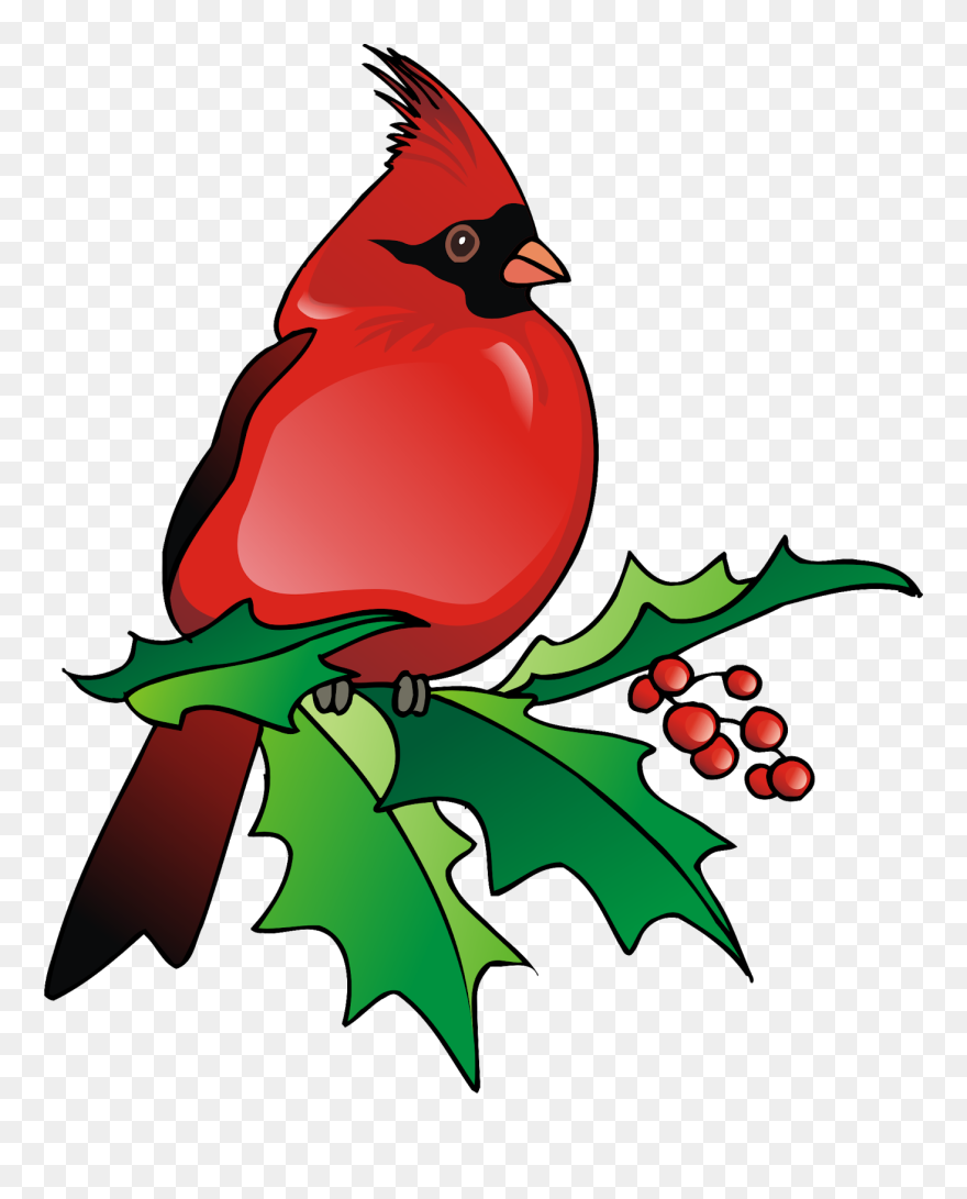Northern Cardinal Clipart