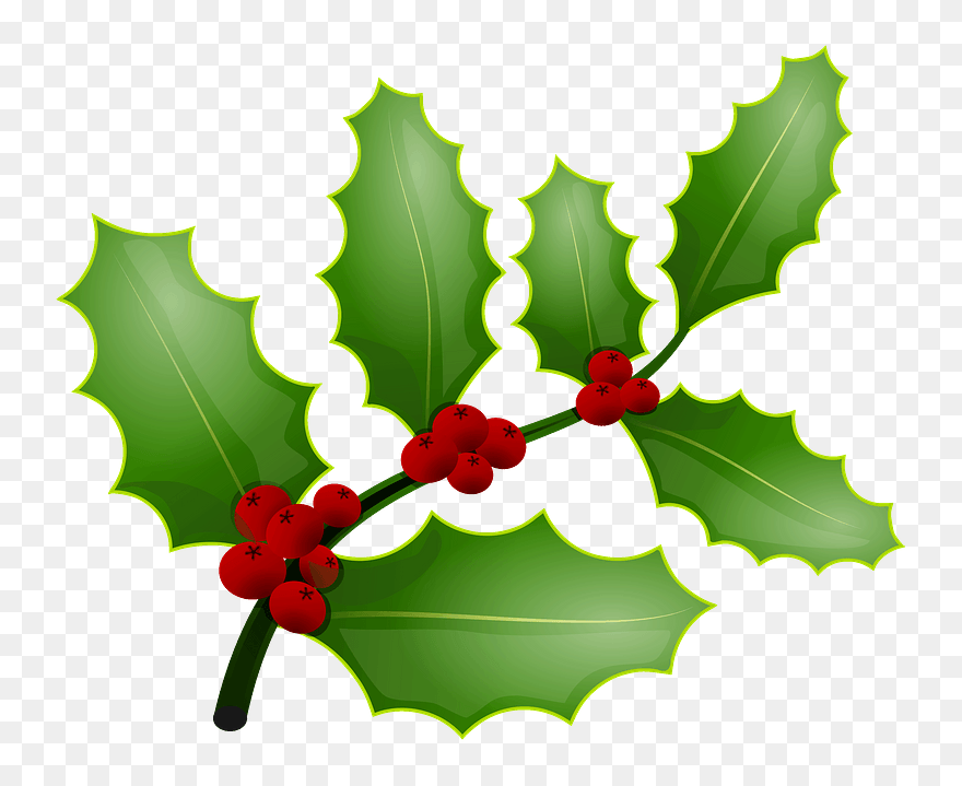 Holly Berries Clipart - Clip Art - Png Download