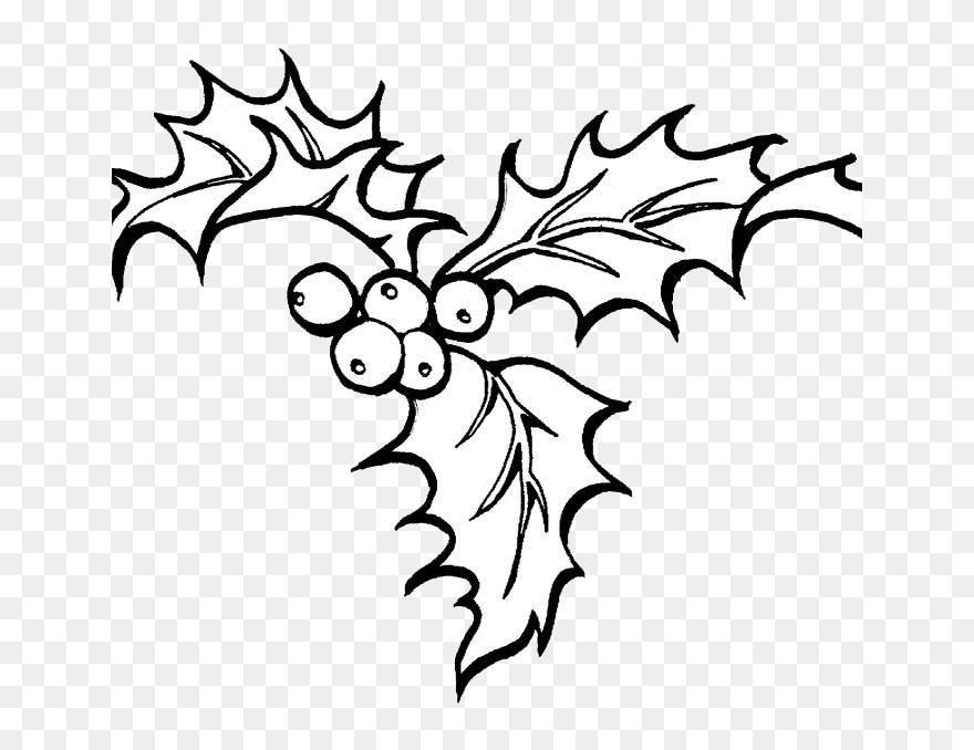 Christmas Coloring Pages Holly Clipart , Png Download - Christmas Coloring Pages Holly Transparent Png