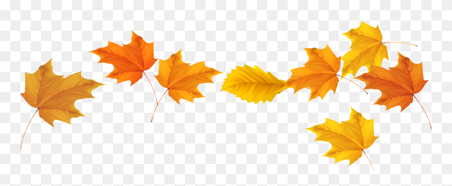 Transparent Autumn Leaves Png Clipart