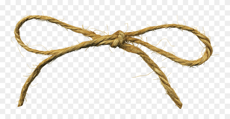 Tied Rope Png - String Transparent Png Clipart