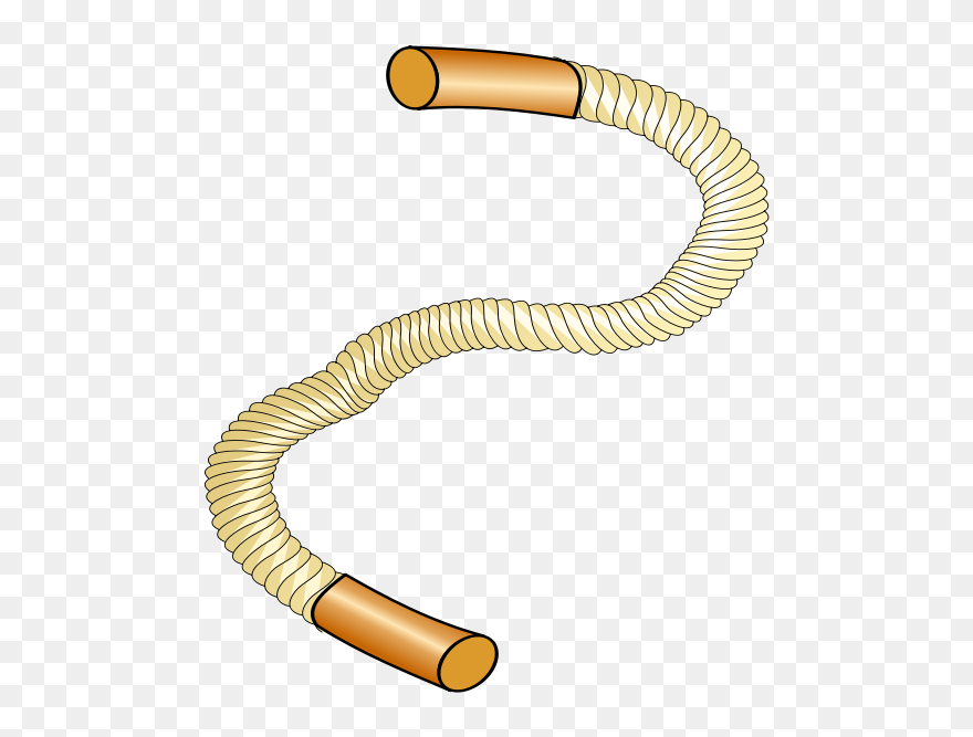 Thick Sports Rope Vector Image - Robe Cliparts - Png Download