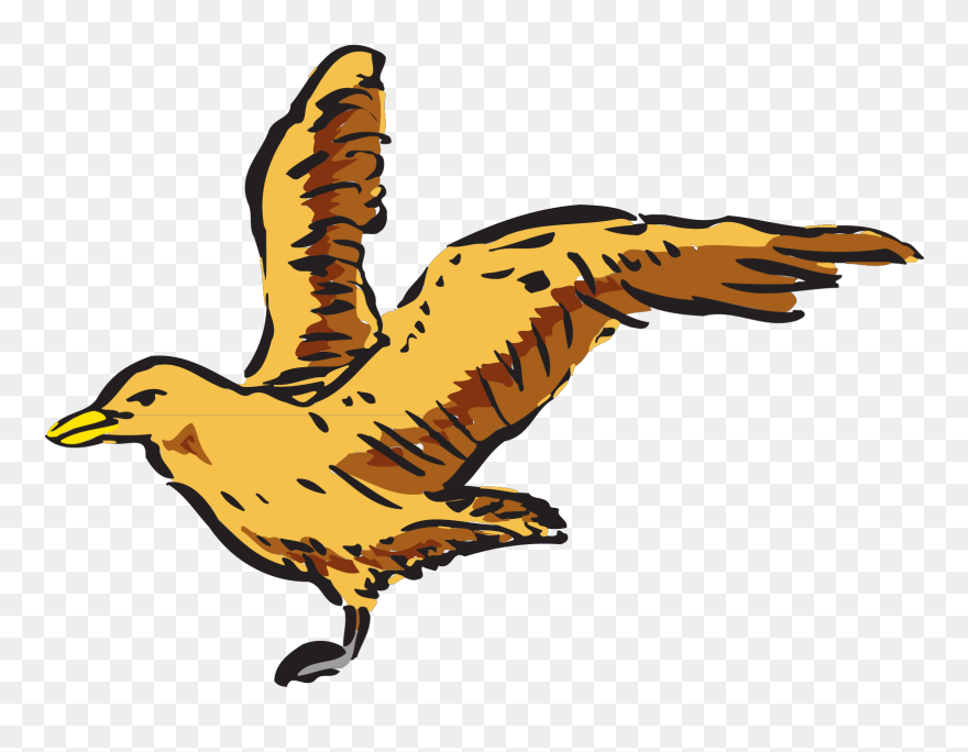 Flying Bird Side View Clipart