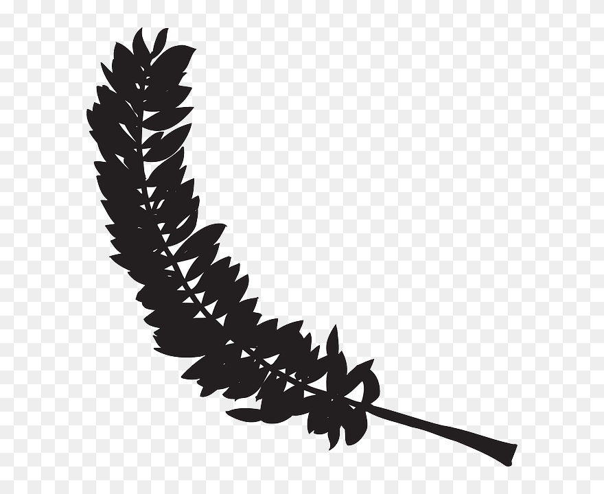 Bird Feather Clip Art - Png ดำ Transparent Png
