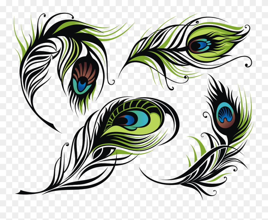#feathers #feather #pecockfeathers #featherart #feathersticker - Peacock Feather Vector Png Clipart