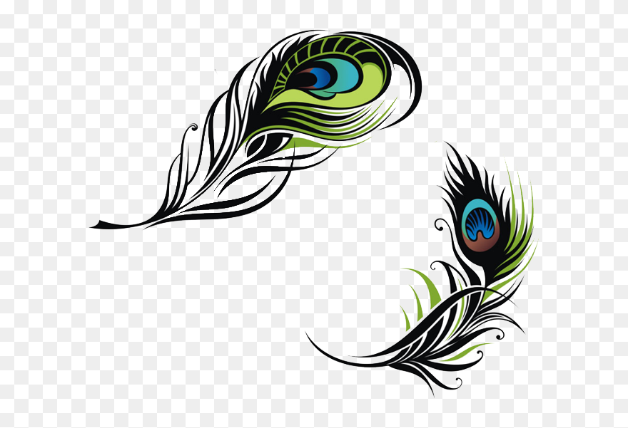 #feathers #feather #bohofeather #bohemian #featherart - Vector Peacock Feather Png Clipart