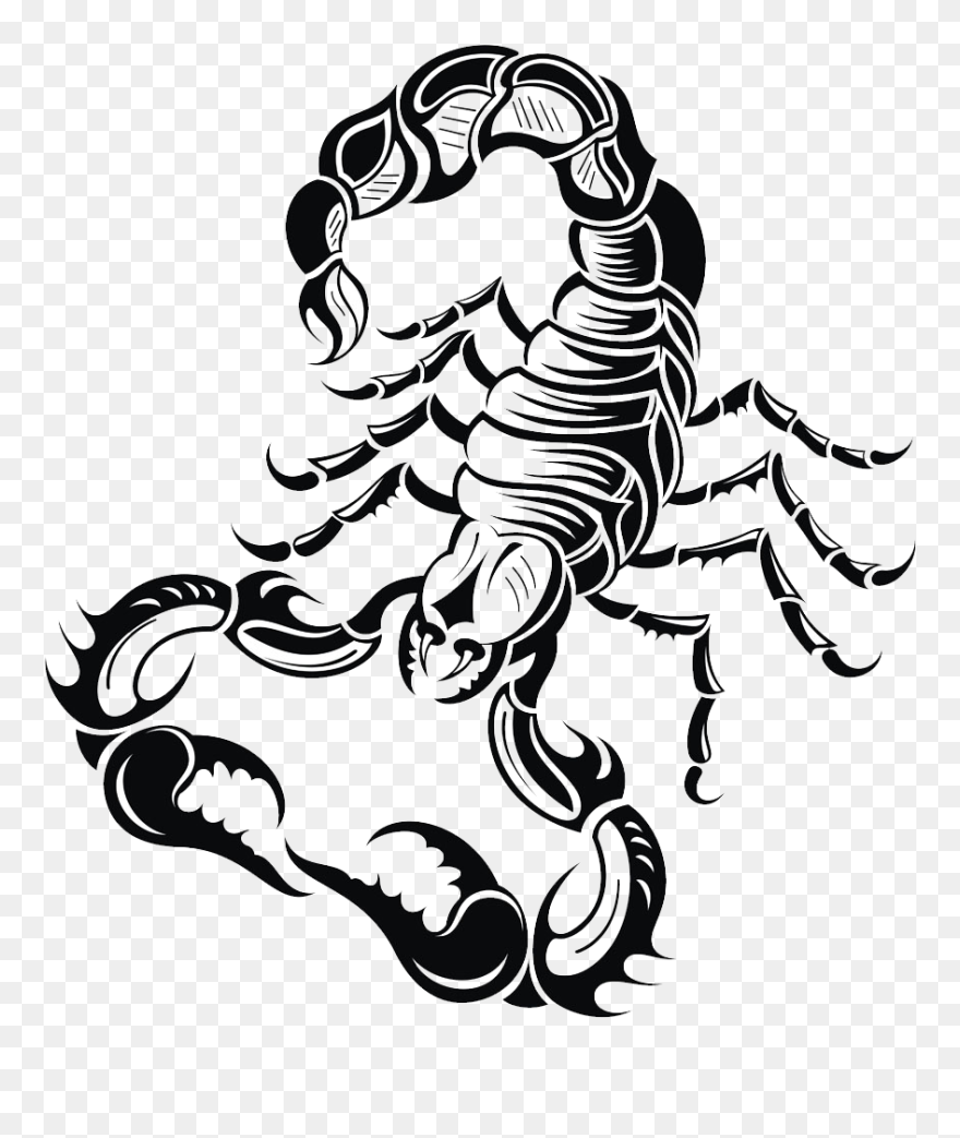 Scorpion Drawing Royalty Free - Transparent Scorpion Tattoo Png Clipart