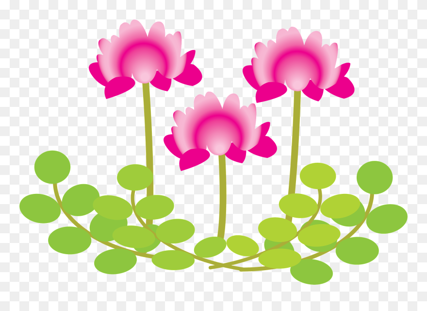 Clip Art - Png Download