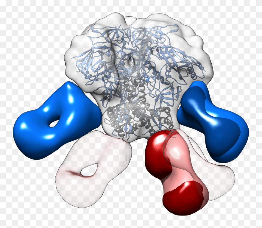 Clip Art - Png Download