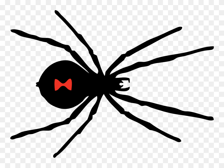 Black Widow Spider Png Clipart