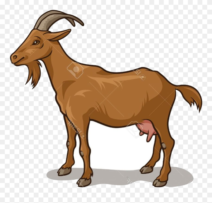 Clipart Goat - Clipart Picture Of A Goat - Png Download