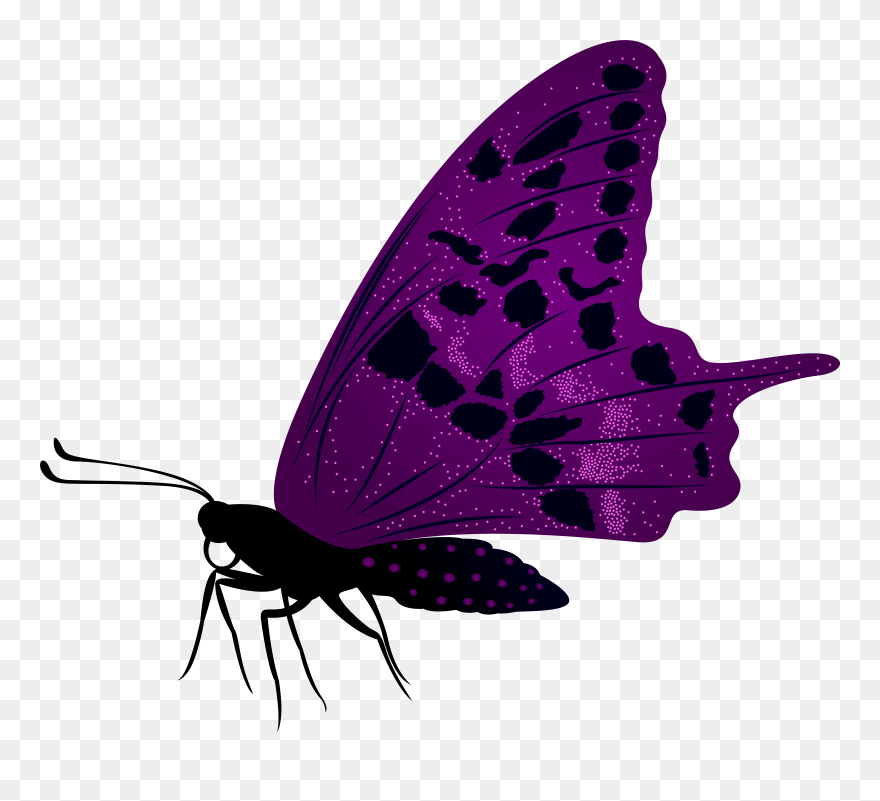Large Purple Butterfly Png Clip Art Imageu200b Gallery Transparent Png