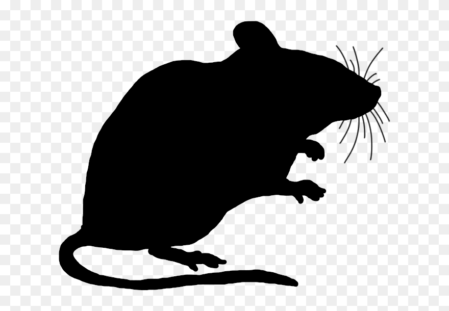 Mickey Mouse Silhouette Clip Art - Mouse Clipart Silhouette - Png Download