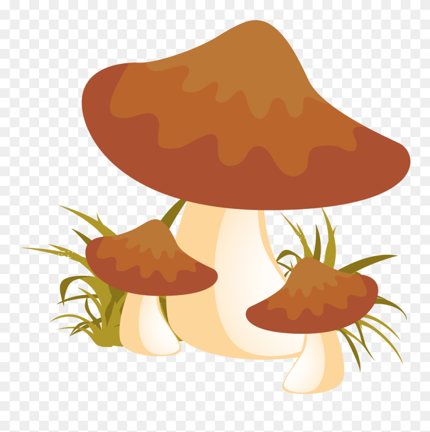 Autumn Mushroom Png Png Clipart