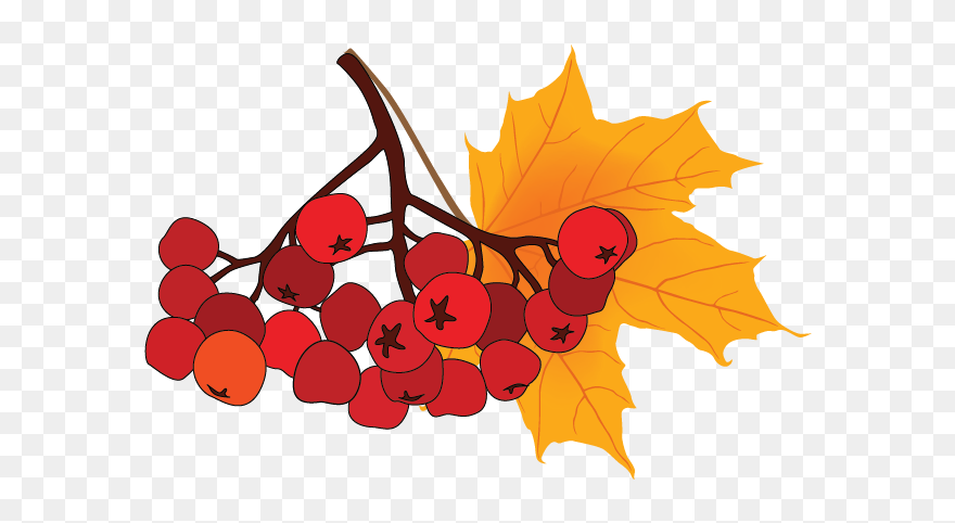 Vector Graphics Clipart