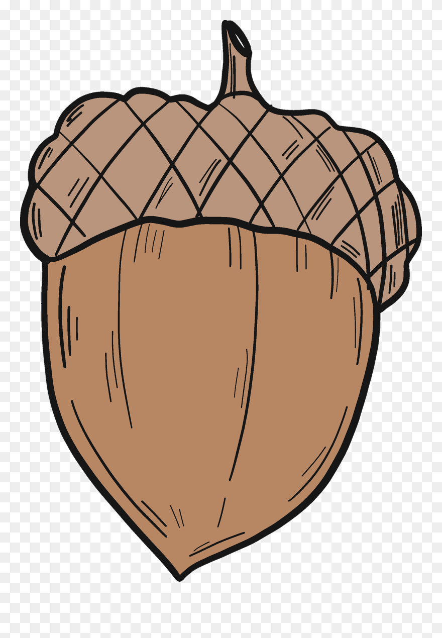 Acorn Clipart - Png Download