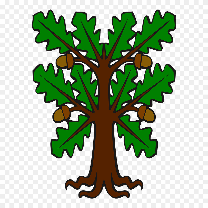 Transparent Acorn Clipart Png - Oak Tree Acorns Cartoon