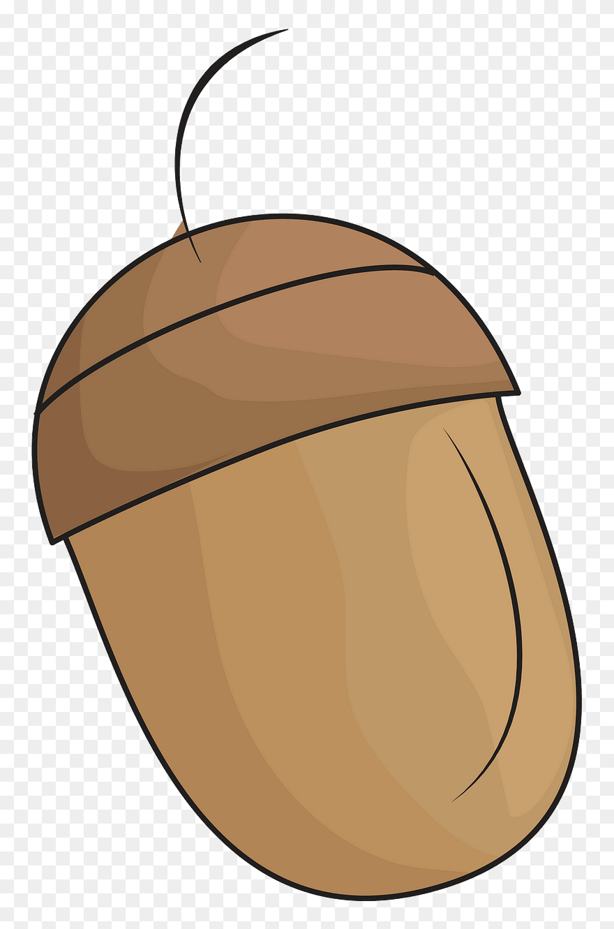 Acorn Clipart - Clipart Gland - Png Download