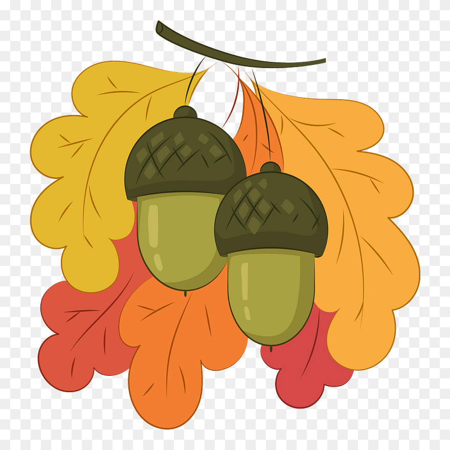 Acorns Clipart - Illustration - Png Download