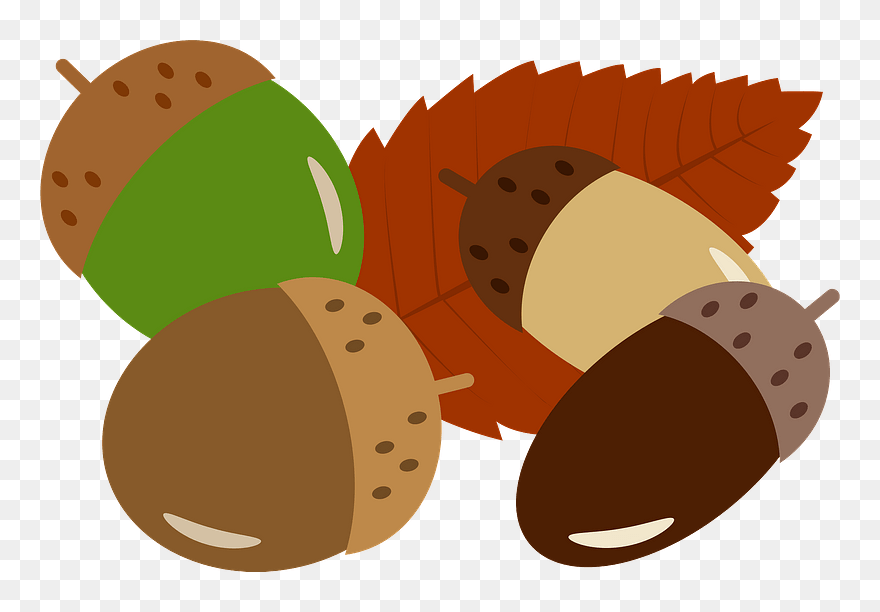 Acorn Fallen Leaf Clipart - Png Download