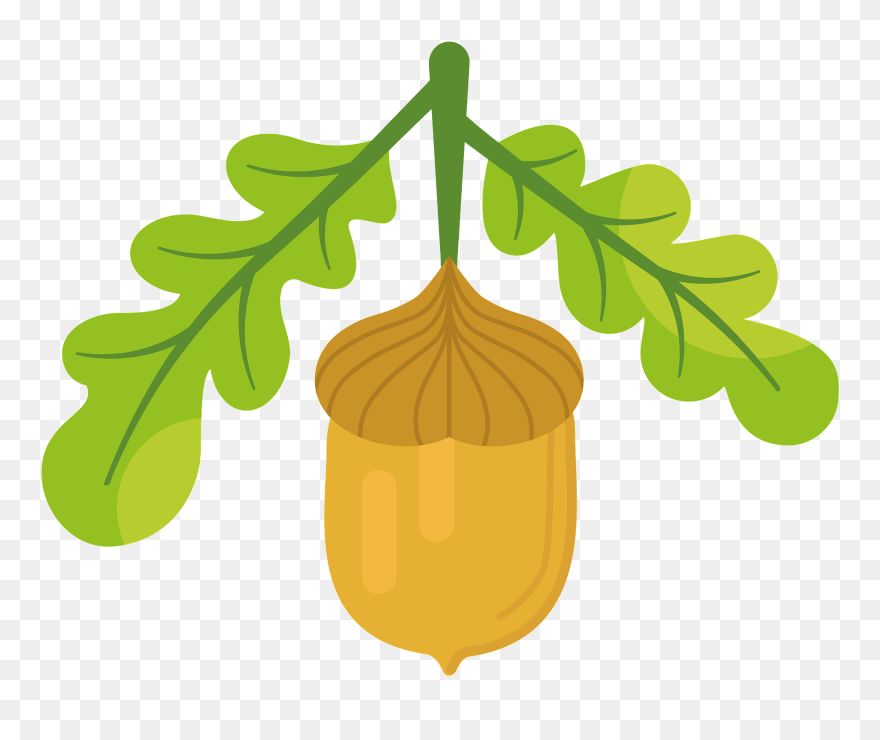 Illustration Clipart