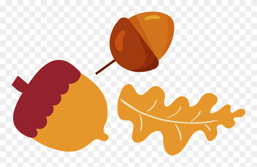 Acorns And Oak Leaf Clipart - Png Download