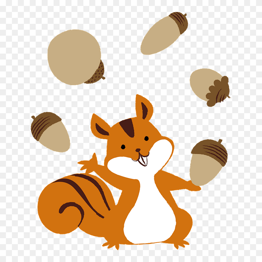 Squirrel Animal Acorn Clipart - りす どんぐり イラスト - Png Download