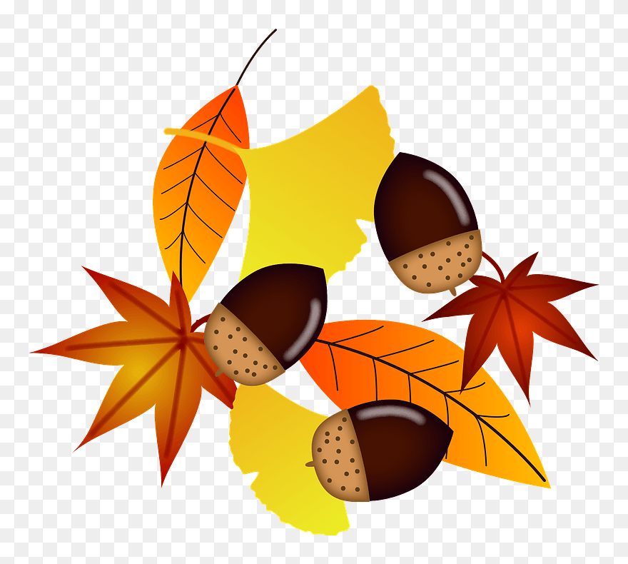 Acorn And Fallen Leaves Clipart - The Green Planet By Meraas - Png Download