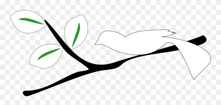 Acorn Clipart Correlation - Black And White Clipart Of A Branch - Png Download