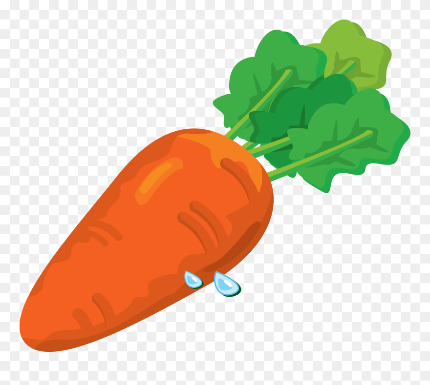 Zucchini Clipart Acorn Squash - Carrots Clip Art Png Transparent Png