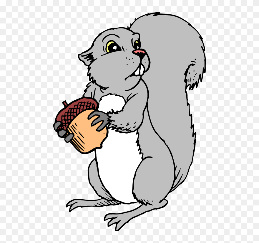 Cute Gray Squirrel Cartoon Character Holding A Acorn - Gray Squirrel Free Clipart - Png Download