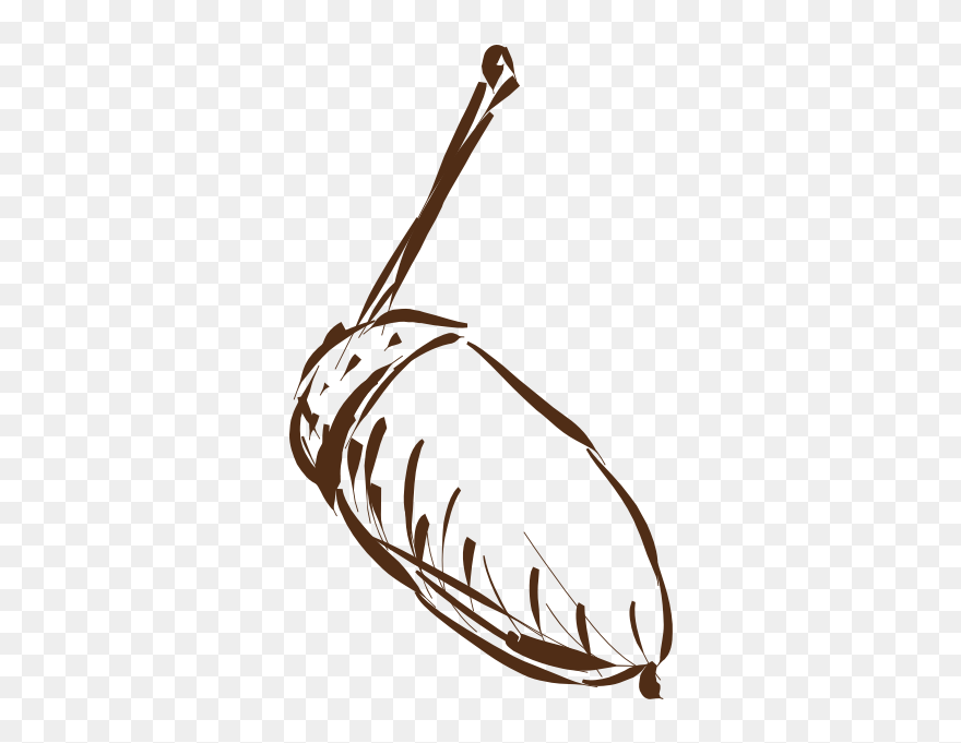 Acorn-1577295125 - Illustration Clipart