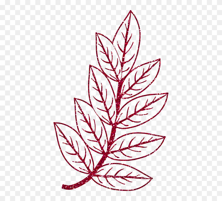 Floral Design Clipart