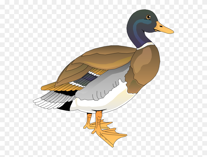 Walking Ducks Birds Clipart Svg Black And White Download - Free Clipart Duck - Png Download
