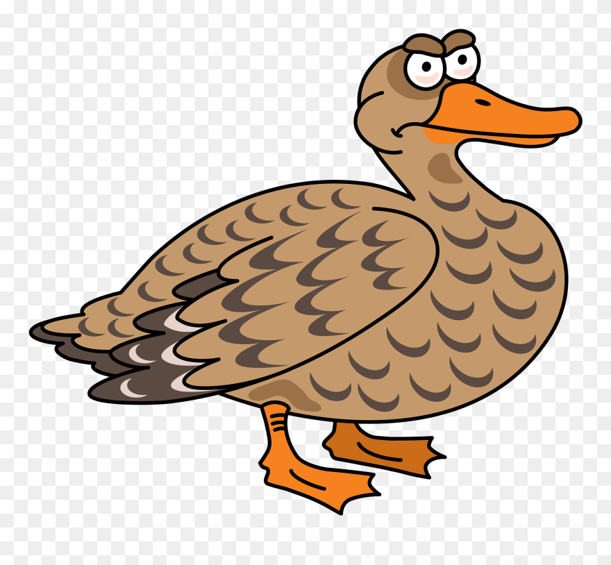 Duck Clipart - Png Download