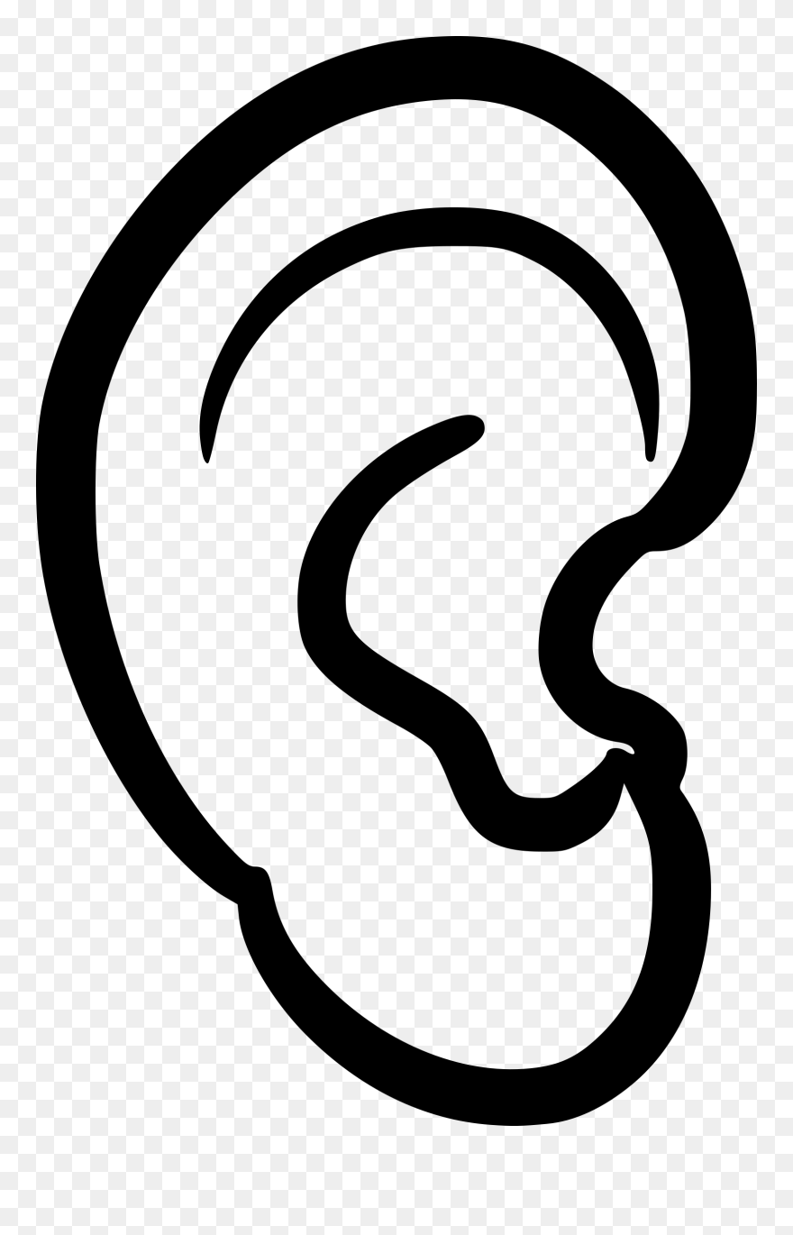 Ear Anatomy Clip Art - Clip Art Of Ear - Png Download