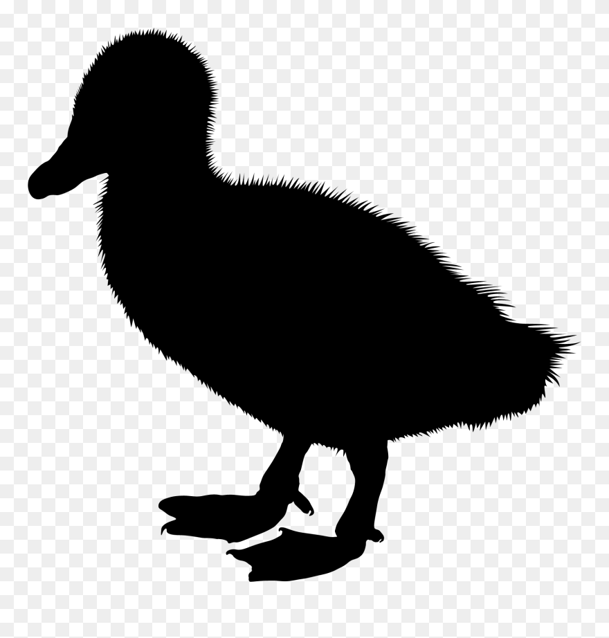 Duck Clip Art Silhouette Illustration Vector Graphics - Duck - Png Download
