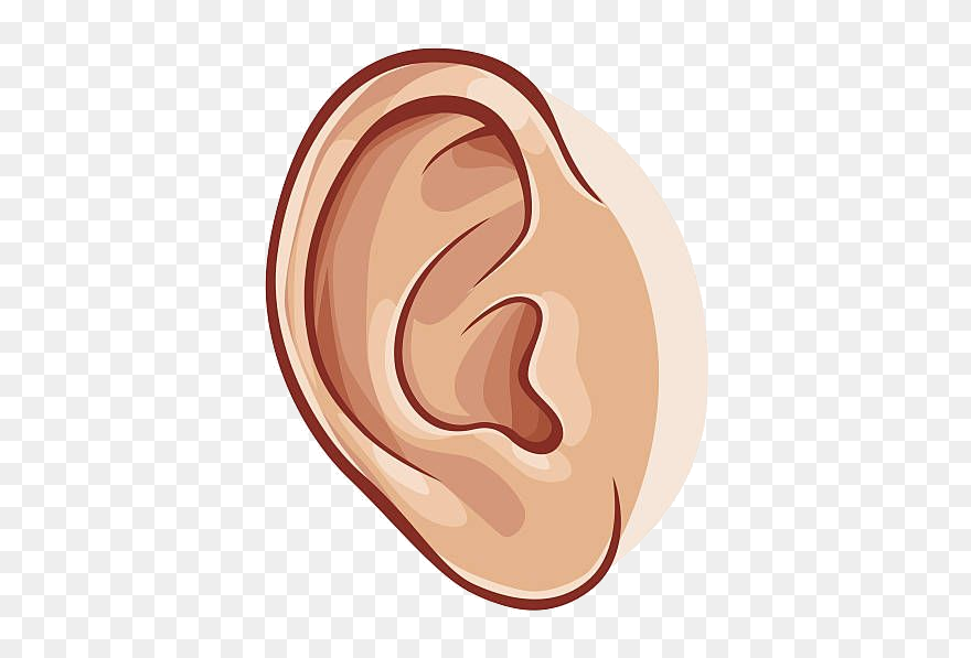 Library Of Ear Clipart Library Library Png Png Files - Clip Art Of Ear Transparent Png