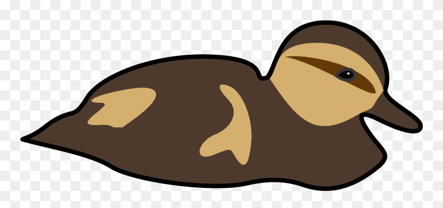 Bebek Berenang Png Clipart