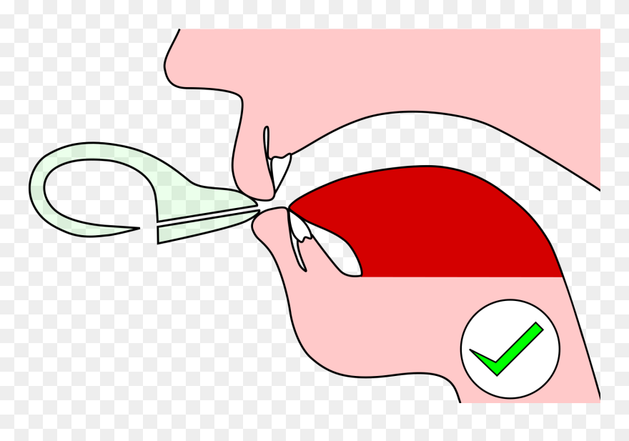 Ears Clipart Attentiveness - Blow Ocarina - Png Download