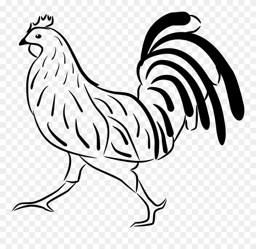 Rooster - Ayam Kartun Hitam Putih Clipart